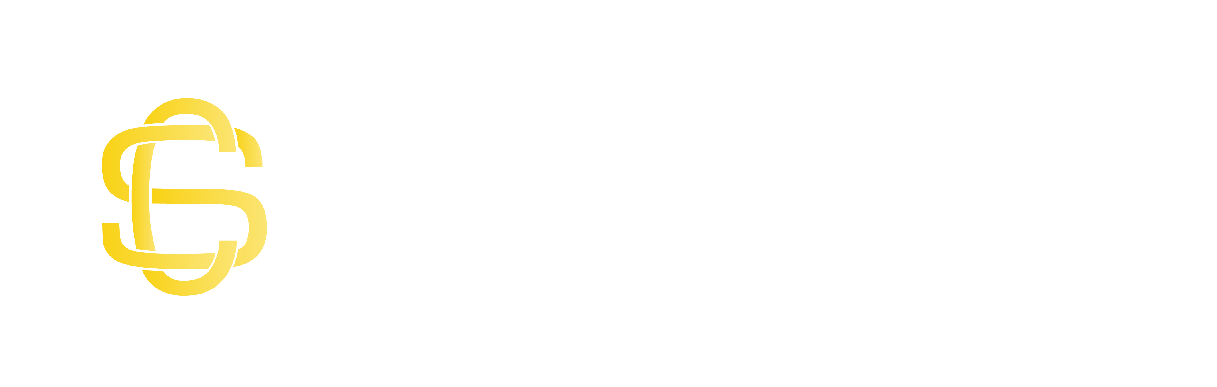 Cyberspective Logo